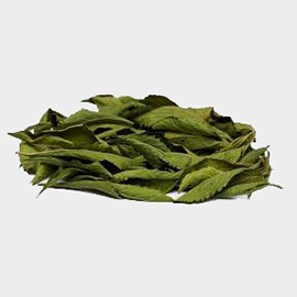 Stevia en Hojas Agroecológica
